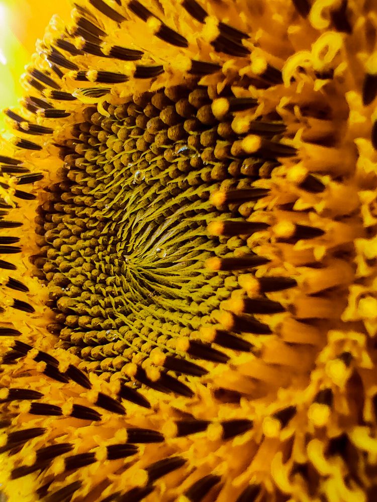 Фотография автора Sara Attia