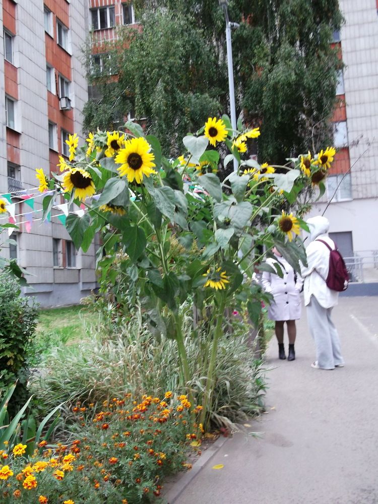 Фотография автора Клавдия Васильева