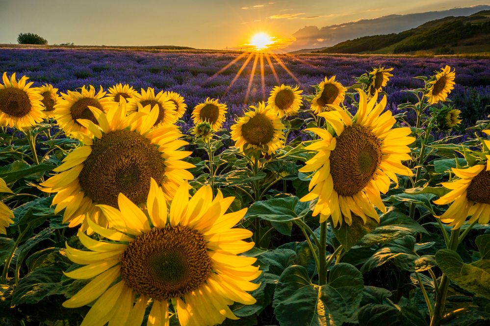 Photograph by levi bagy