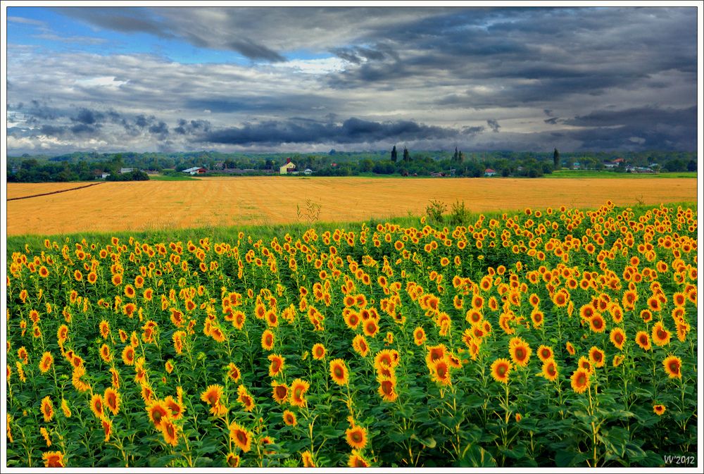 Фотография автора Владимир Волков