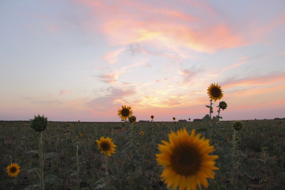 Фотография автора Владимир Волков