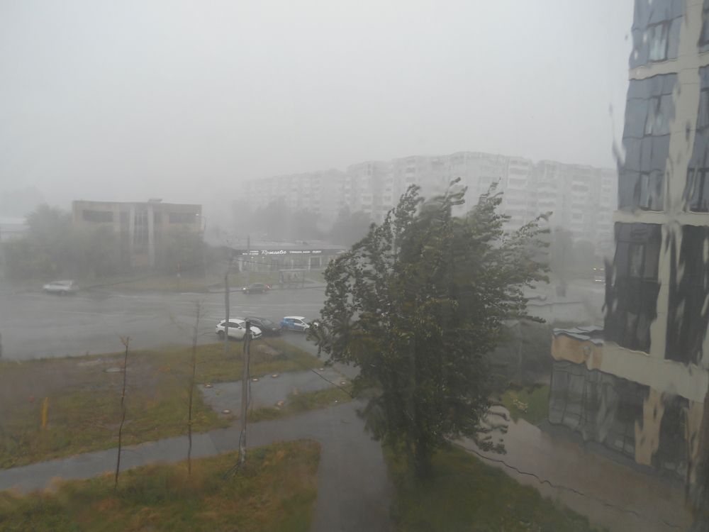 Фотография автора Клавдия Васильева