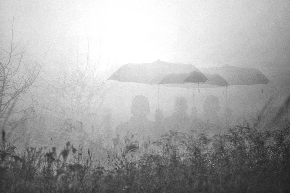 Photograph by Инна Карасева