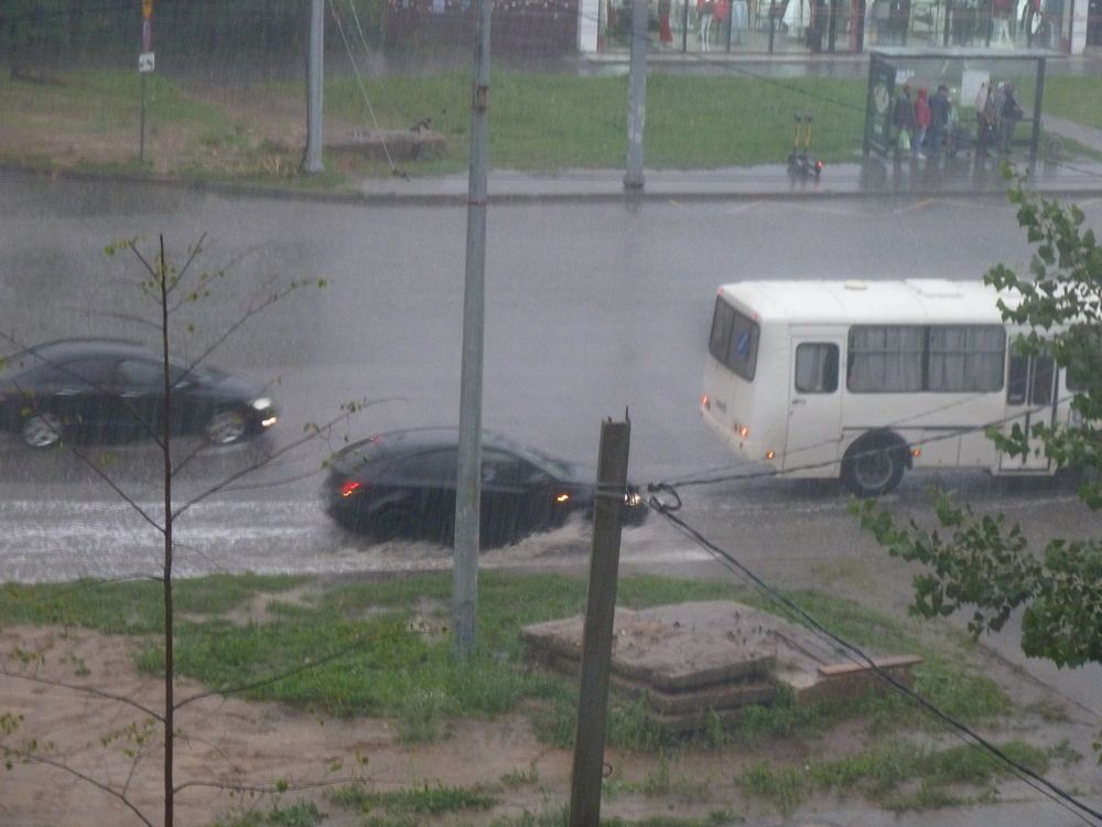 Фотография автора Клавдия Васильева