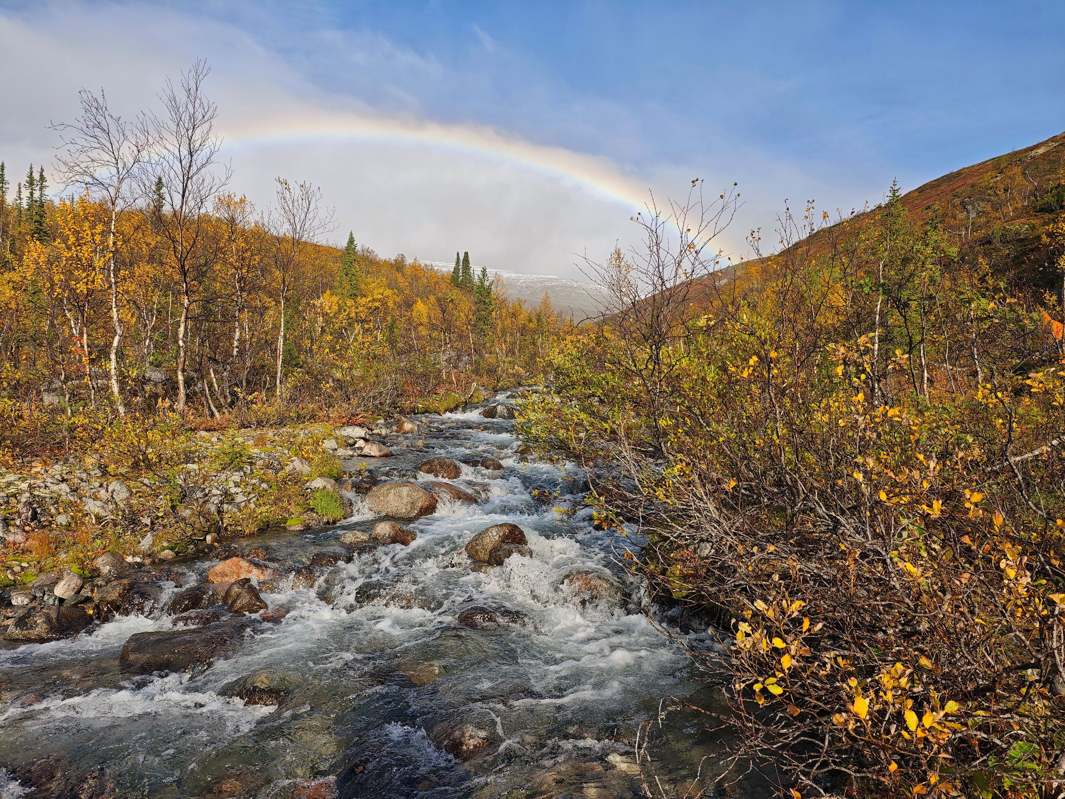 Photograph by Lev Kaufman
