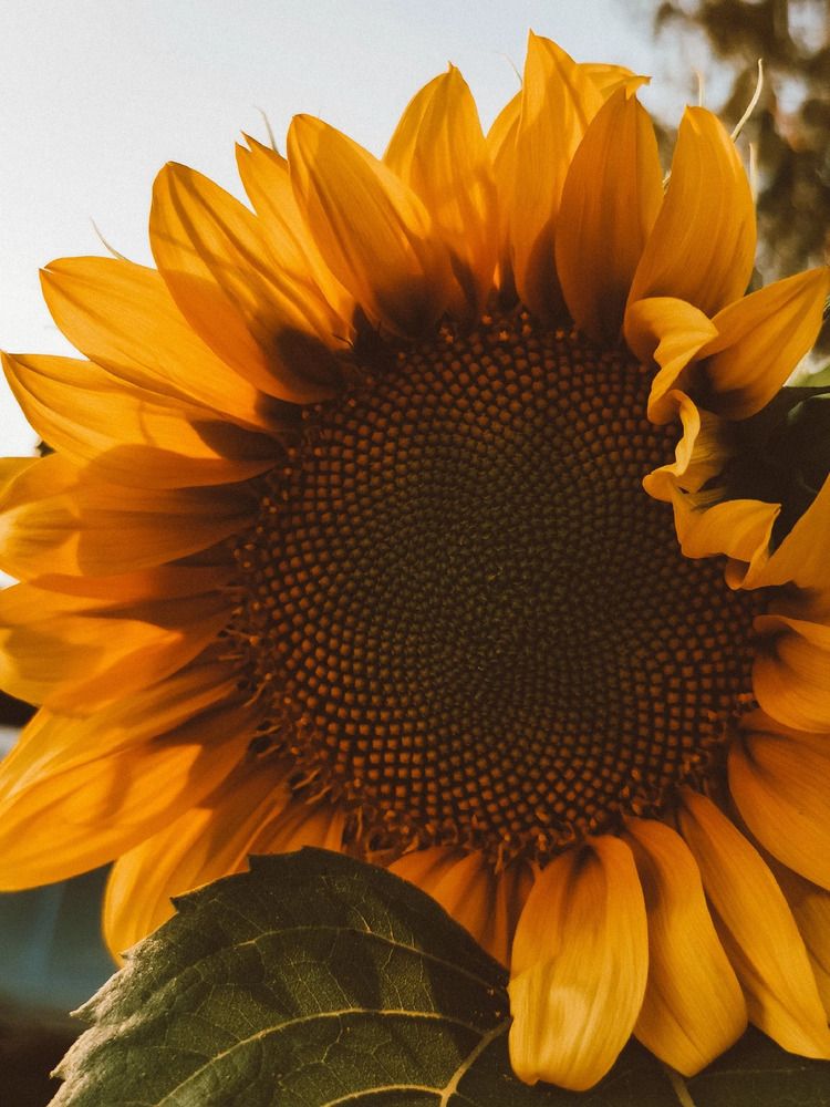 Photograph by Marina Kopylova