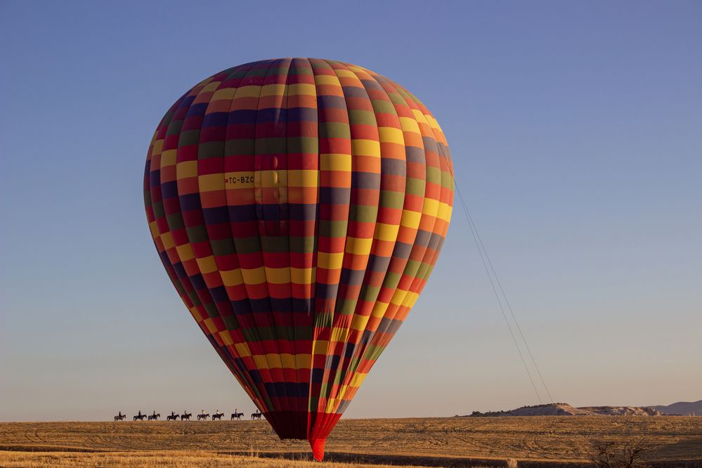 Photograph by MOJDEH NOROUZI