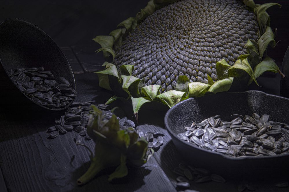 Photograph by Игорь Смирнов