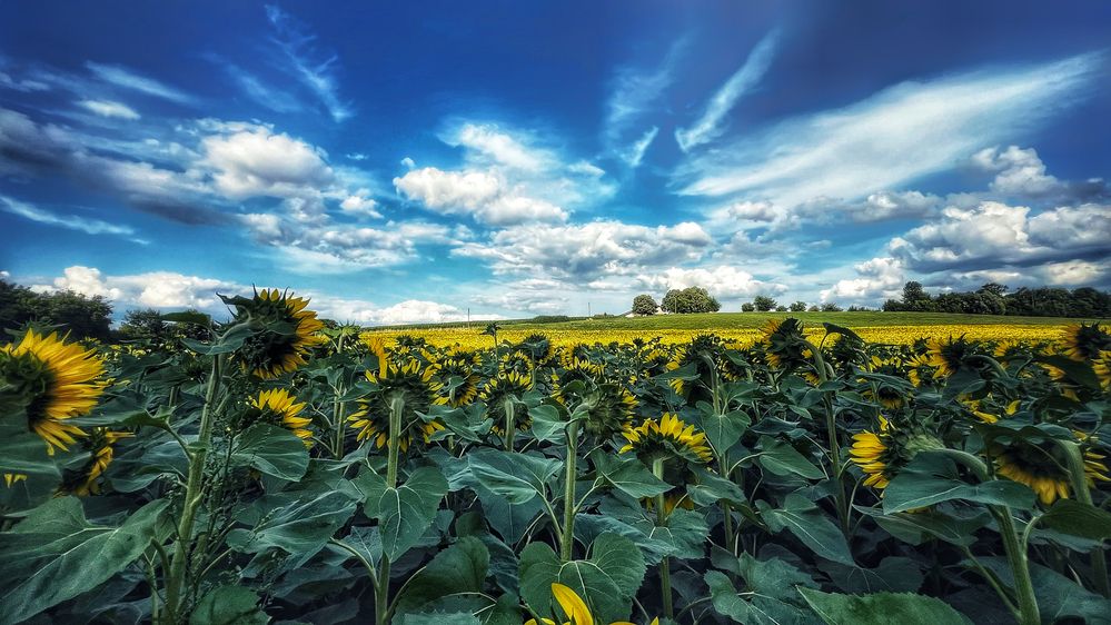 Photograph by Swetlana Lebedev