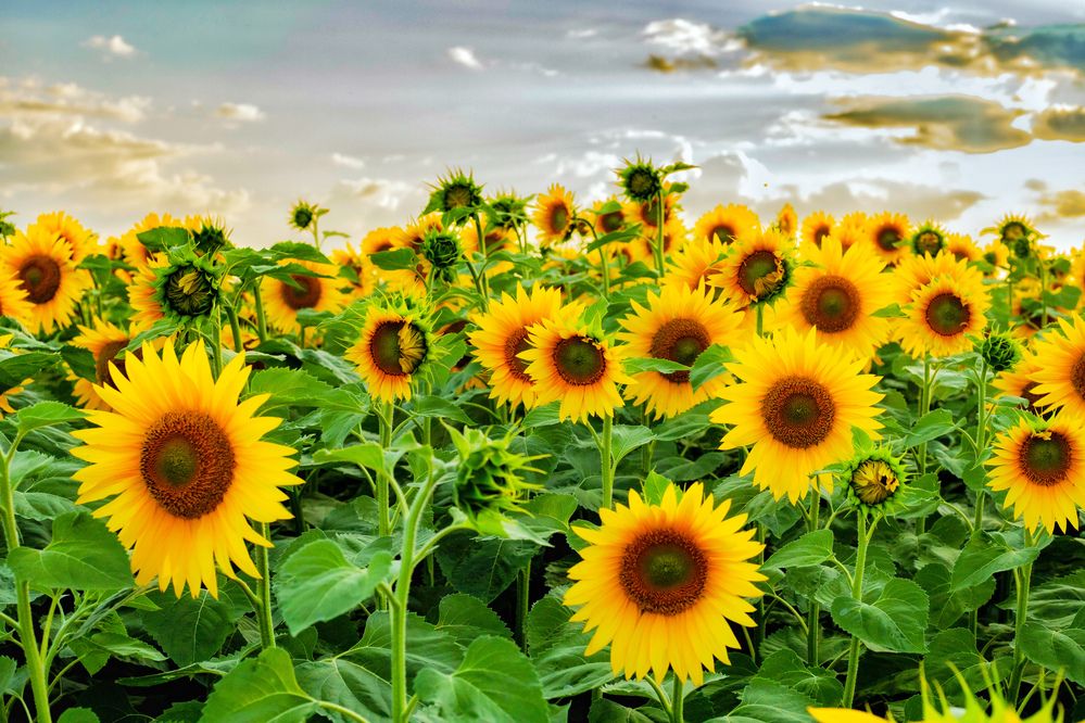 Photograph by Паша Савельев