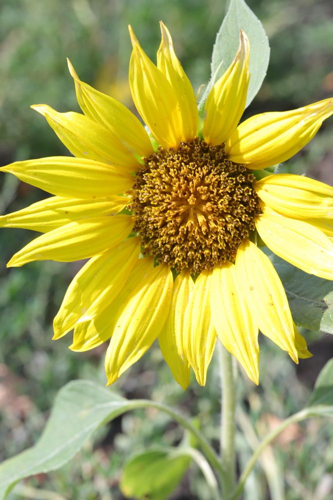 Photograph by Цибуляк Анна