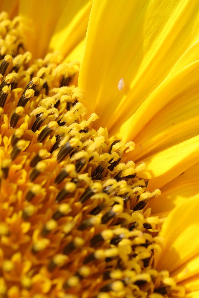 Photograph by Цибуляк Анна