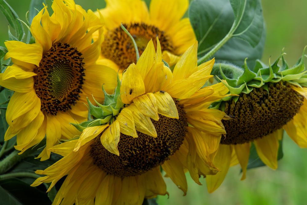 Photograph by наталья залогина