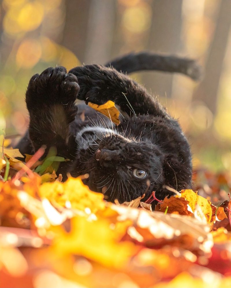 Photograph by Alexandra Sergeeva