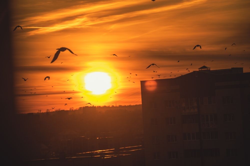 Photograph by Евгений Николаенков