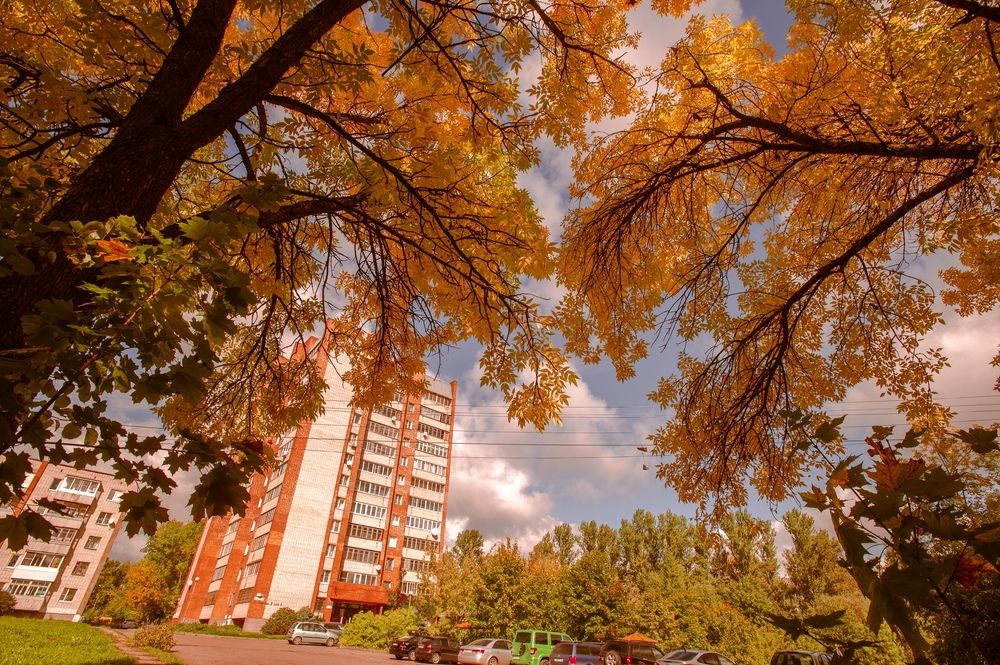 Photograph by Евгений Николаенков