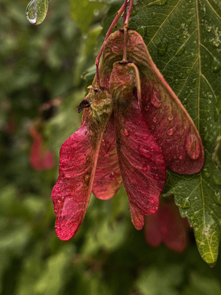 Фотография автора Лариса Гришкевич