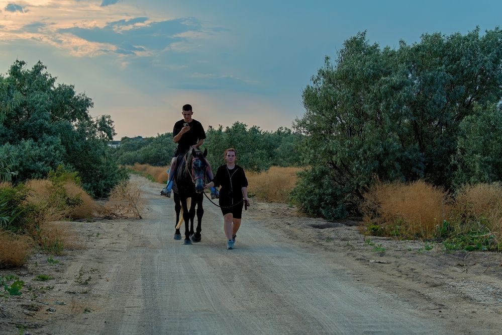 Photograph by Михаил Косолапов