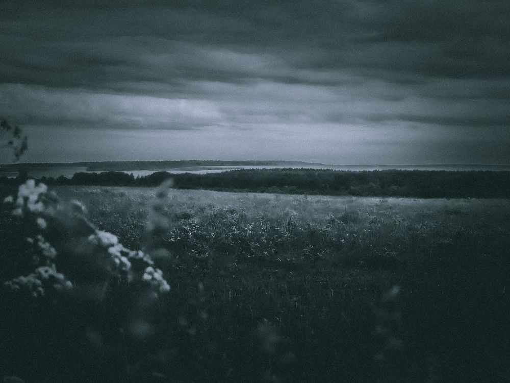 Photograph by Максим Кутсар