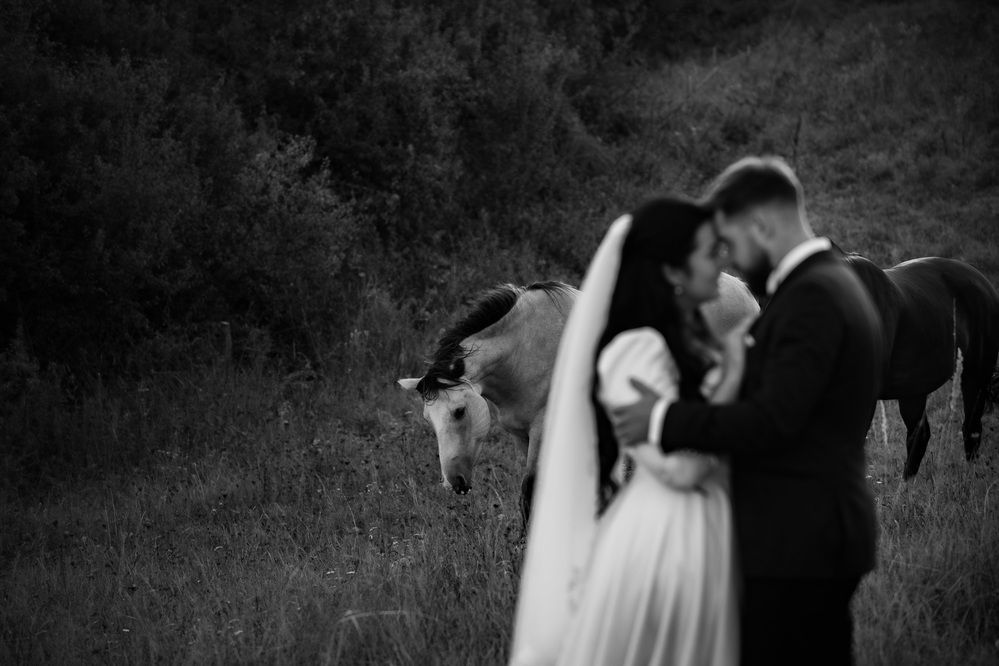 Фотография автора Tomas Kozel