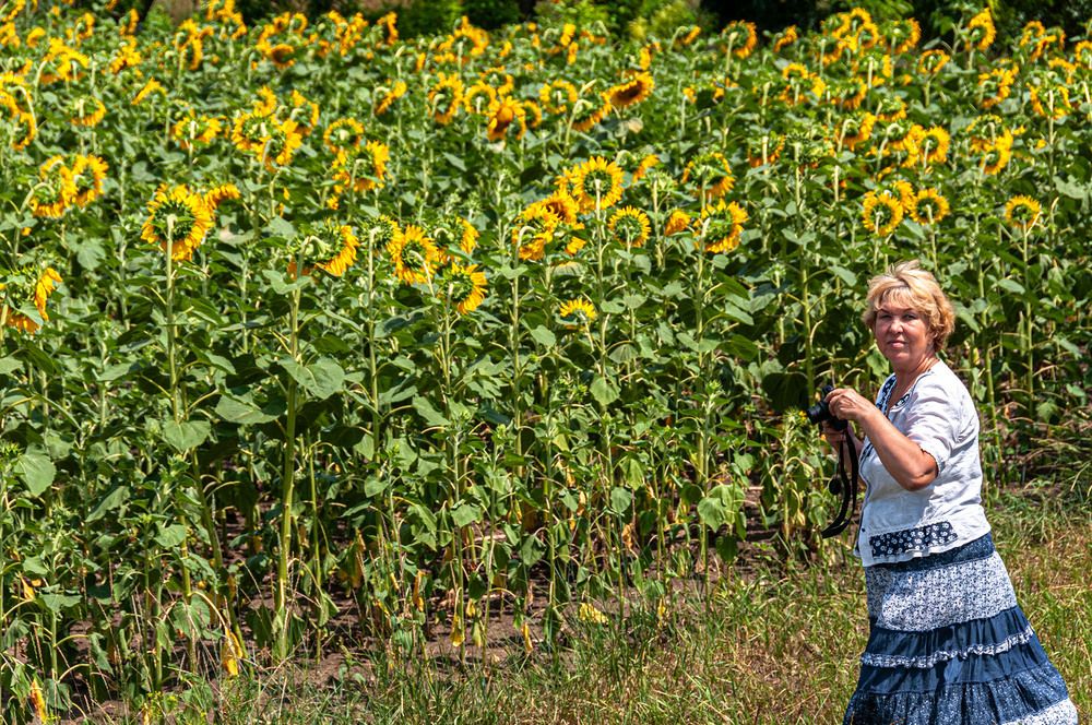Photograph by Vladimir  Komarov