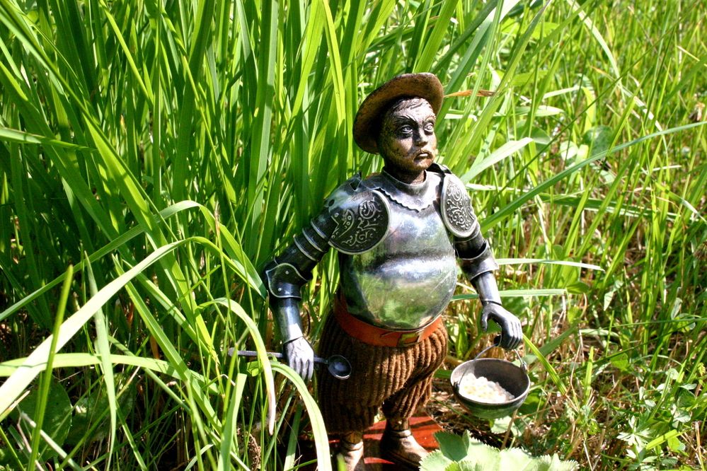 Верный друг Дон Кихота -  Санчо Панса