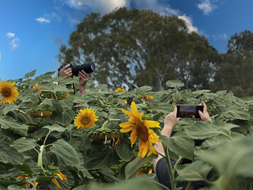 Photograph by Lev Tsenter