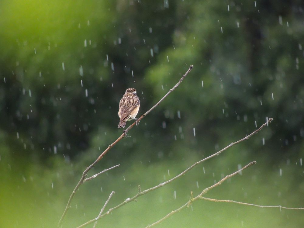 Photograph by Наталья Балабанова