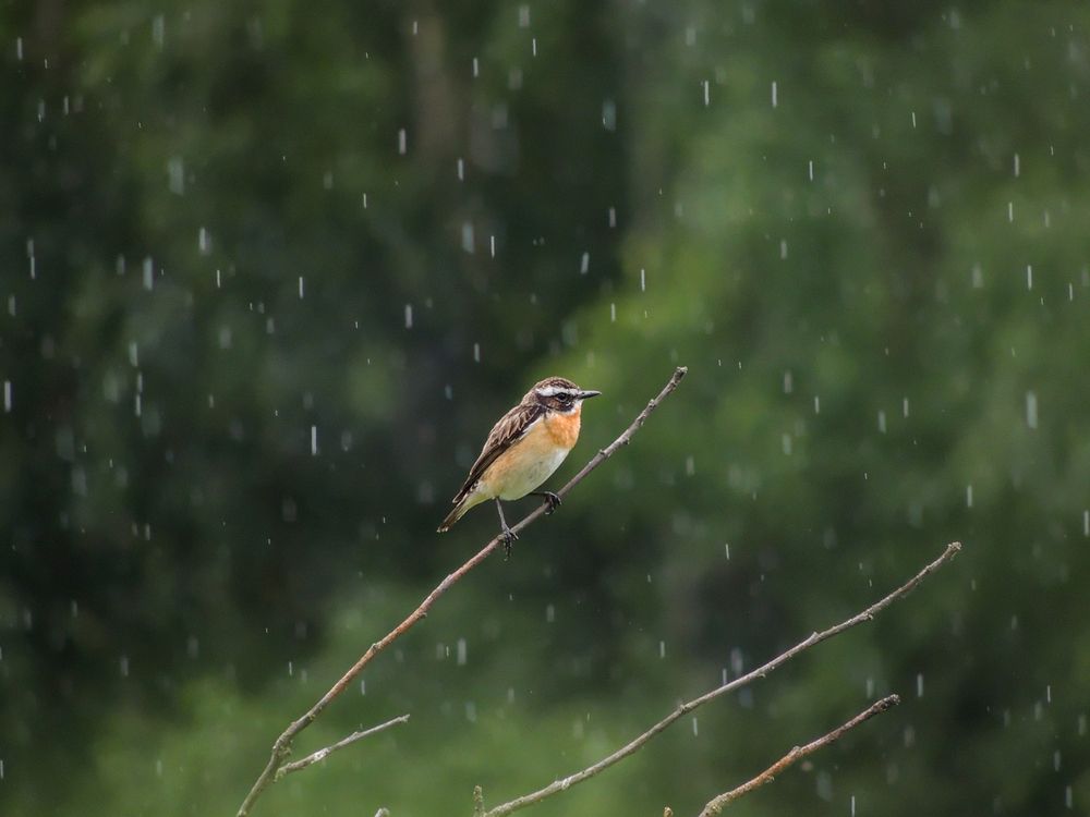 Photograph by Наталья Балабанова