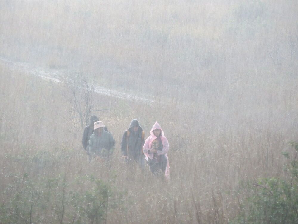 Photograph by Татьяна Стаскевич