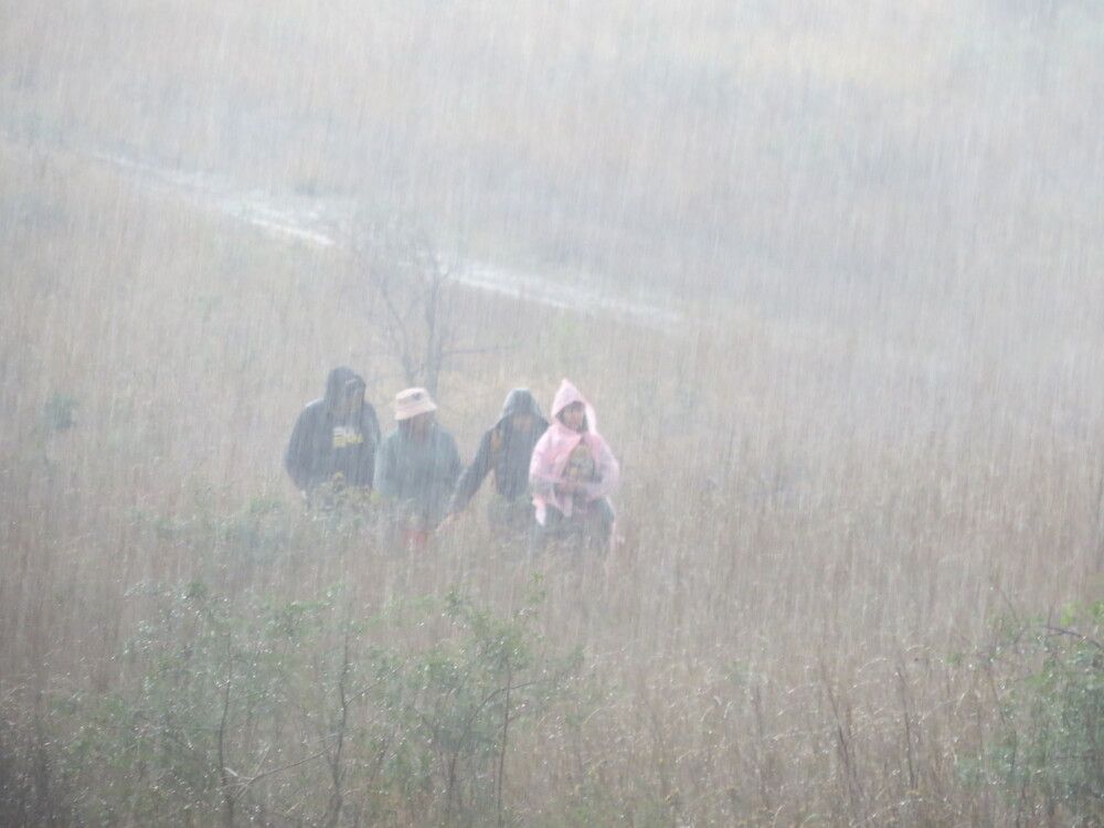 Photograph by Татьяна Стаскевич