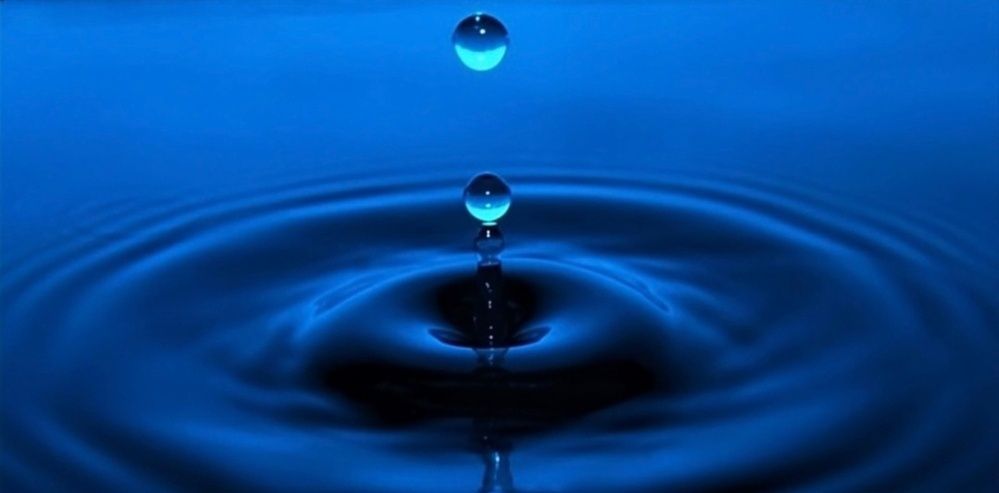 Photograph by Avi Behar