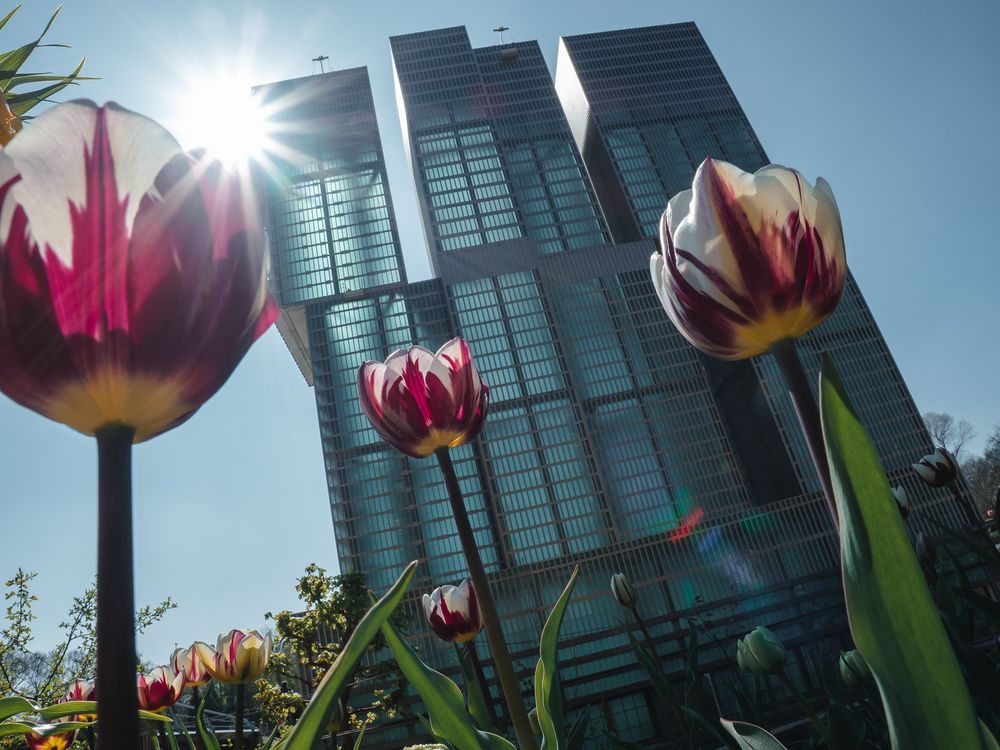 Photograph by Ирина Протченко