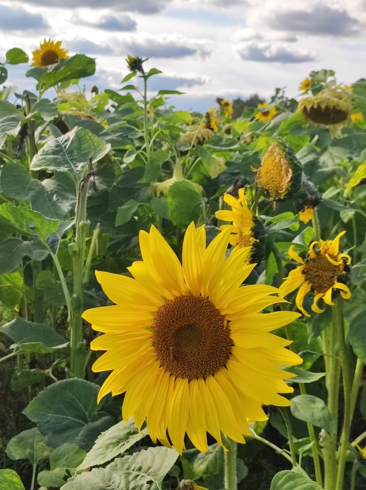 Photograph by Екатерина Иваненко