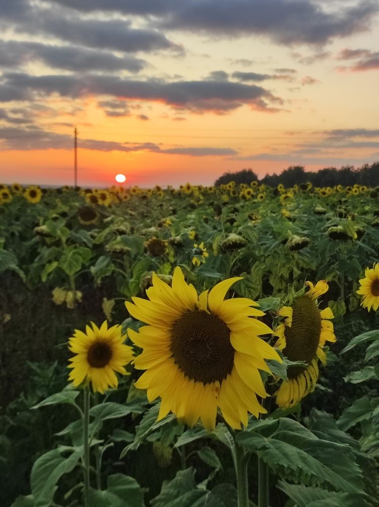 Photograph by Екатерина Иваненко