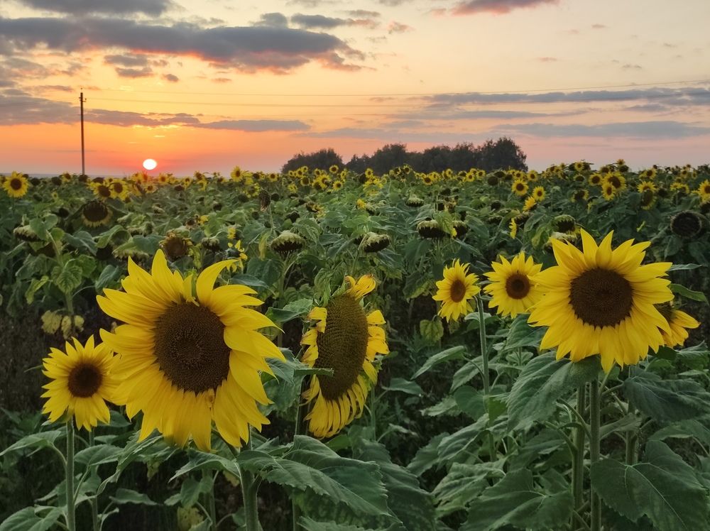 Photograph by Екатерина Иваненко