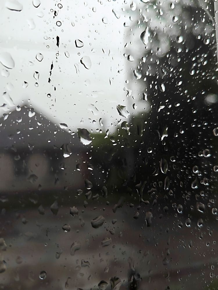 Photograph by Куделенко Оксана