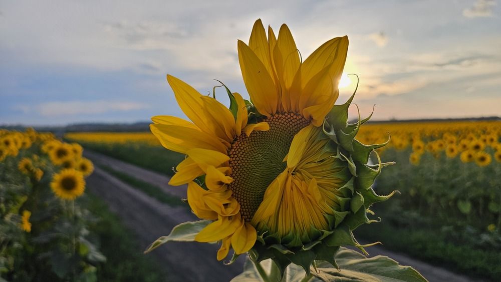 Photograph by Степан Макрушин