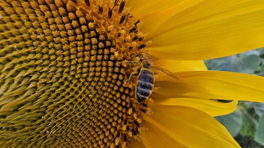 Photograph by Степан Макрушин