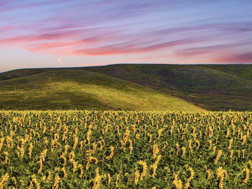 Photograph by Konstantin Martynov