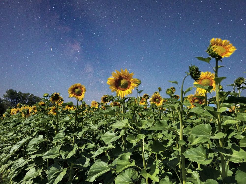 Photograph by Konstantin Martynov