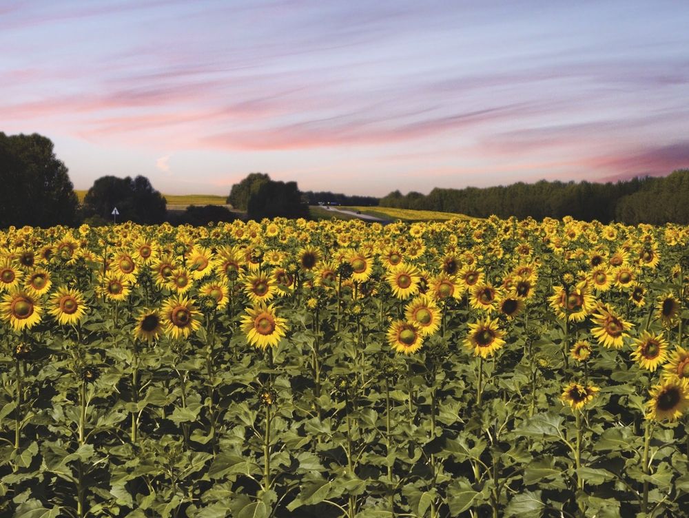 Photograph by Konstantin Martynov