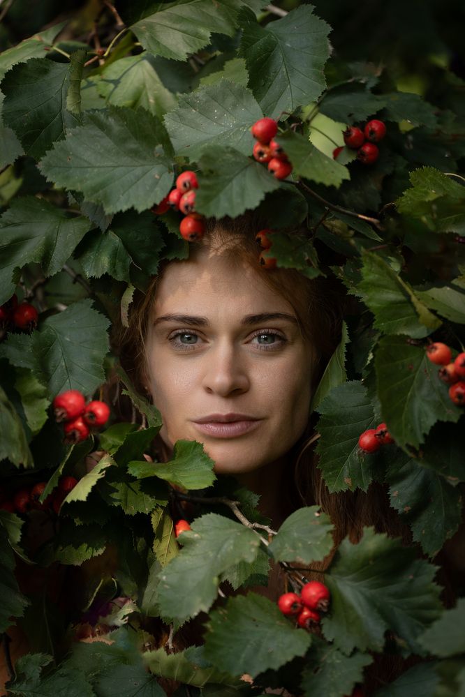 Фотография автора Светлана Зимина