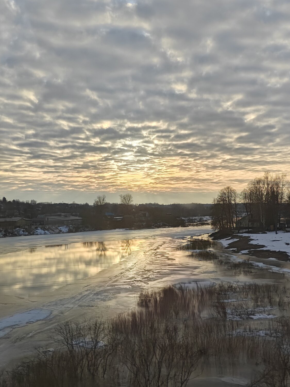 Photo #12625768