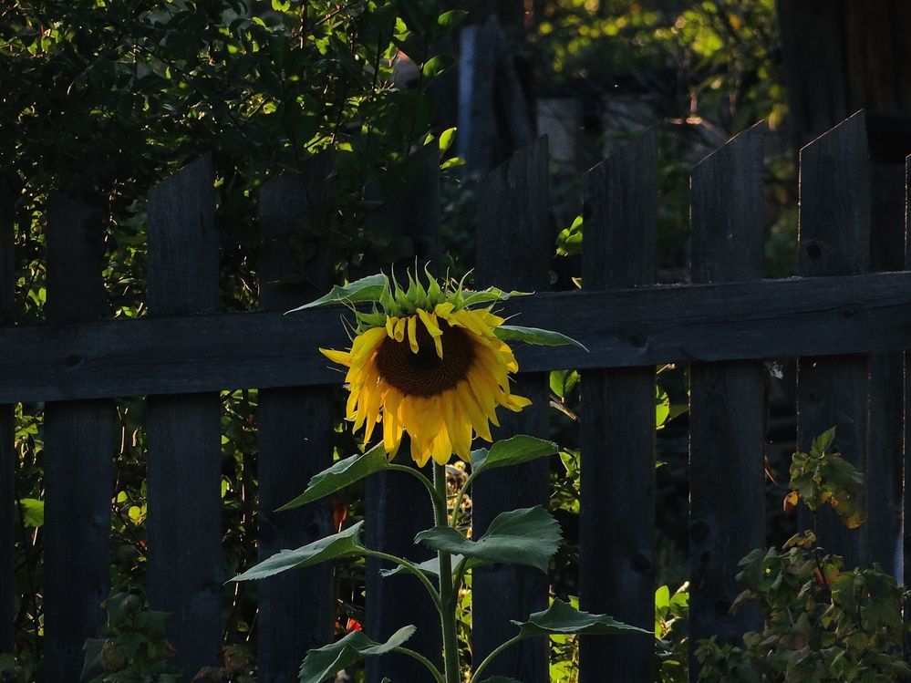 Photograph by Данила Мельников