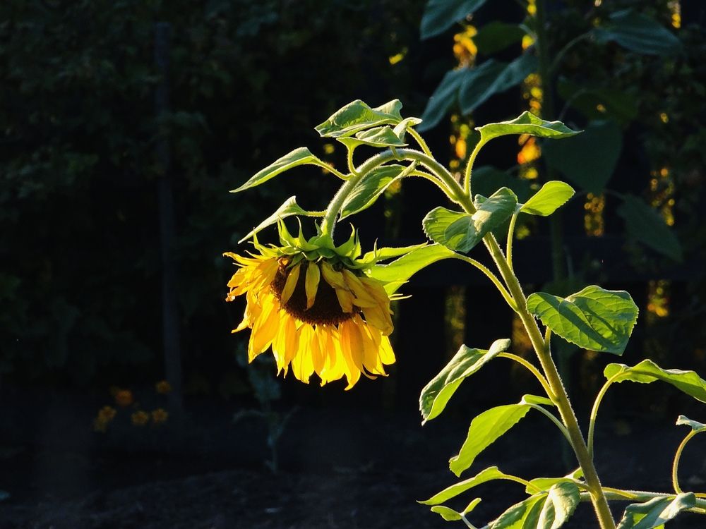 Photograph by Данила Мельников