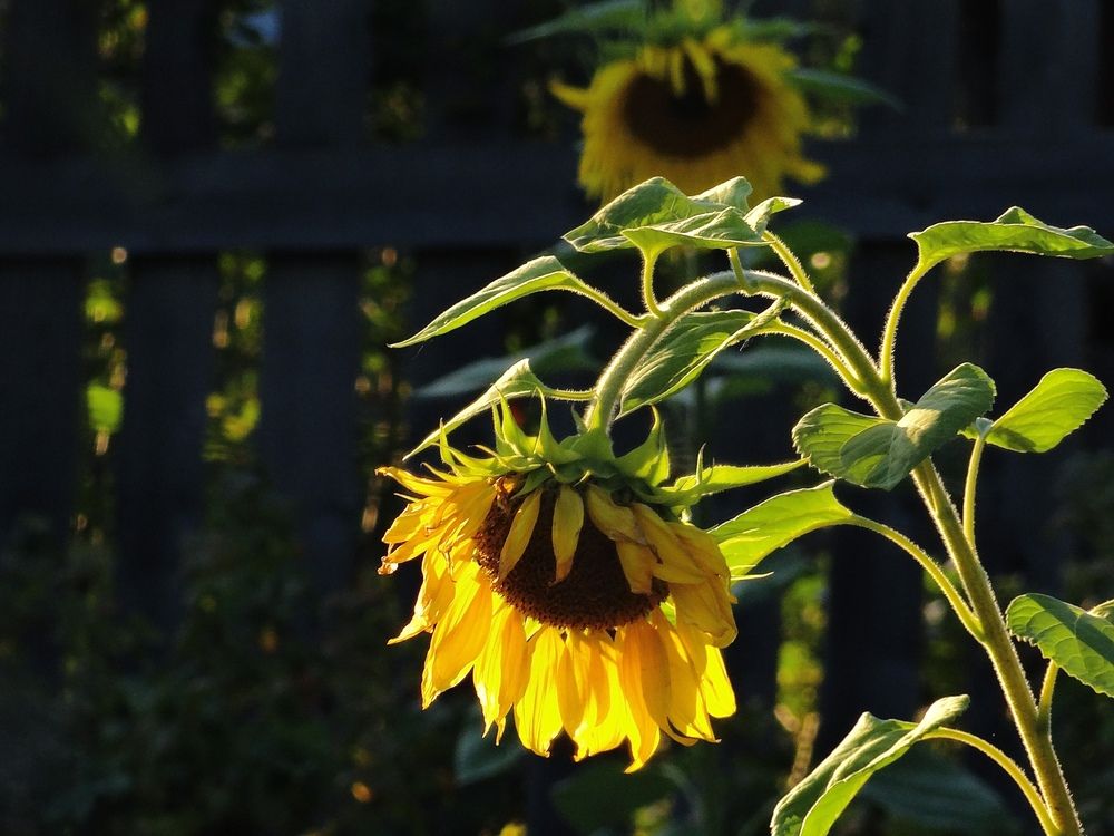 Photograph by Данила Мельников