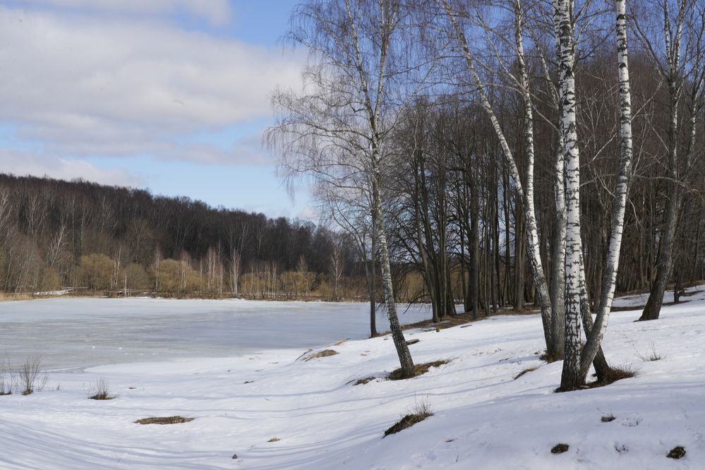 Photograph by Михаил Карпов