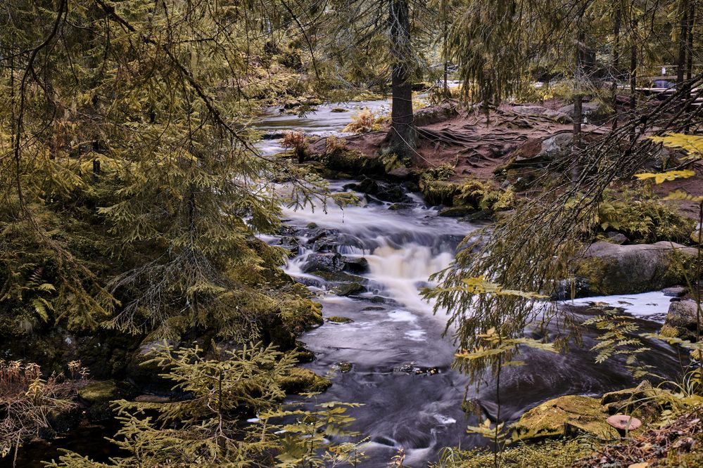 Photograph by Алексей Малов