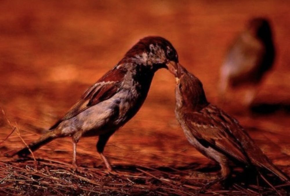 Photograph by Avi Behar